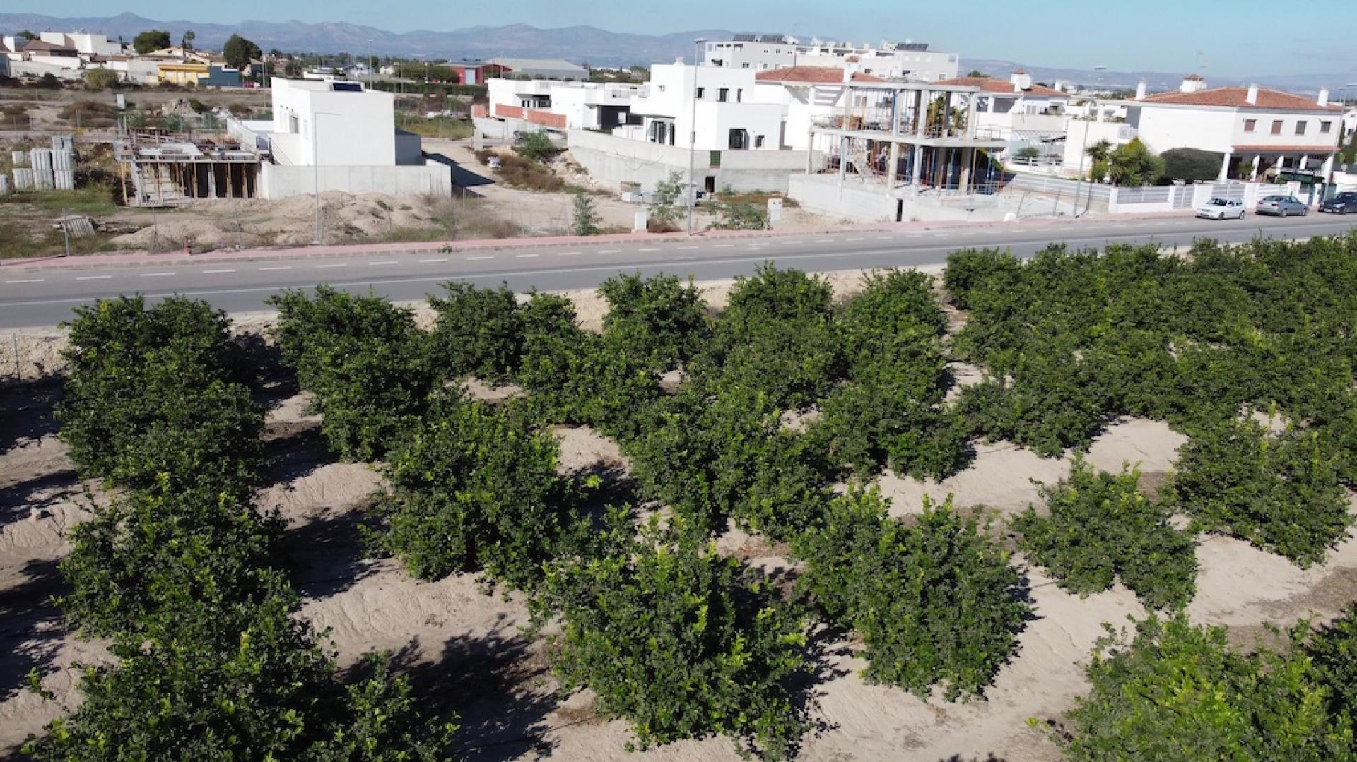 3 chambre Villa à Daya Nueva in Medvilla Spanje