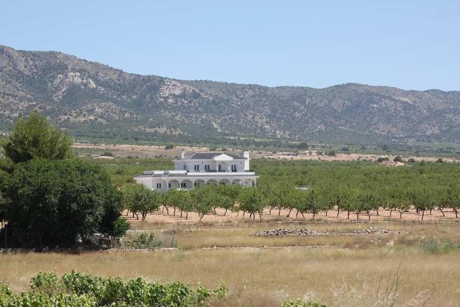 Nouvelles villas de luxe avec piscine inc. terre, licences en Alicante, Pinoso in Medvilla Spanje