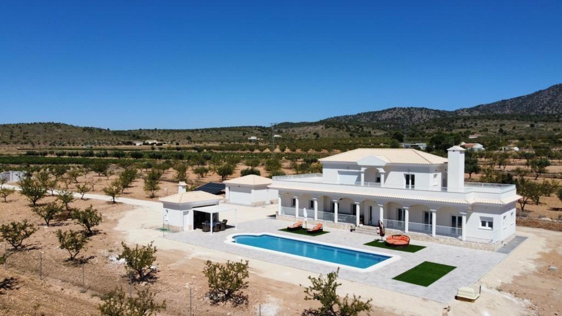 Nouvelles villas de luxe avec piscine inc. terre, licences en Alicante, Pinoso in Medvilla Spanje