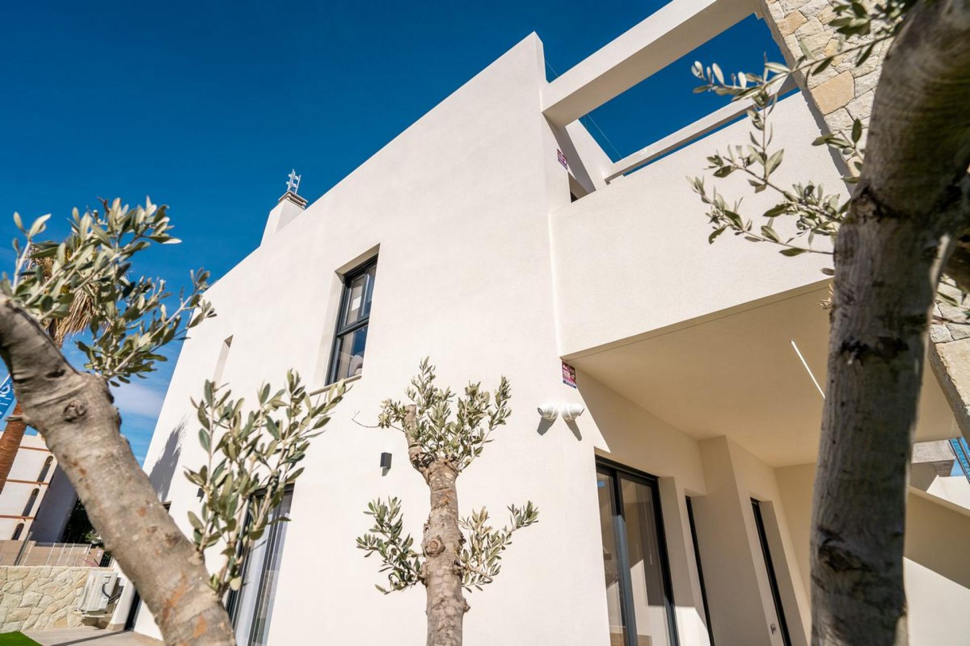 2 chambre Appartements - terrasse sur le toit à Punta Prima - Orihuela Costa in Medvilla Spanje