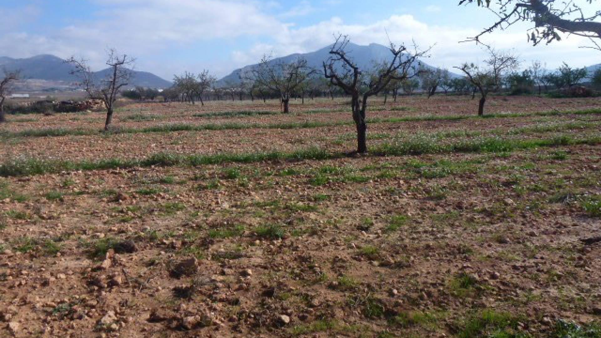 Terrains à bâtir à vendre à Cañada de la Leña, Murcie in Medvilla Spanje