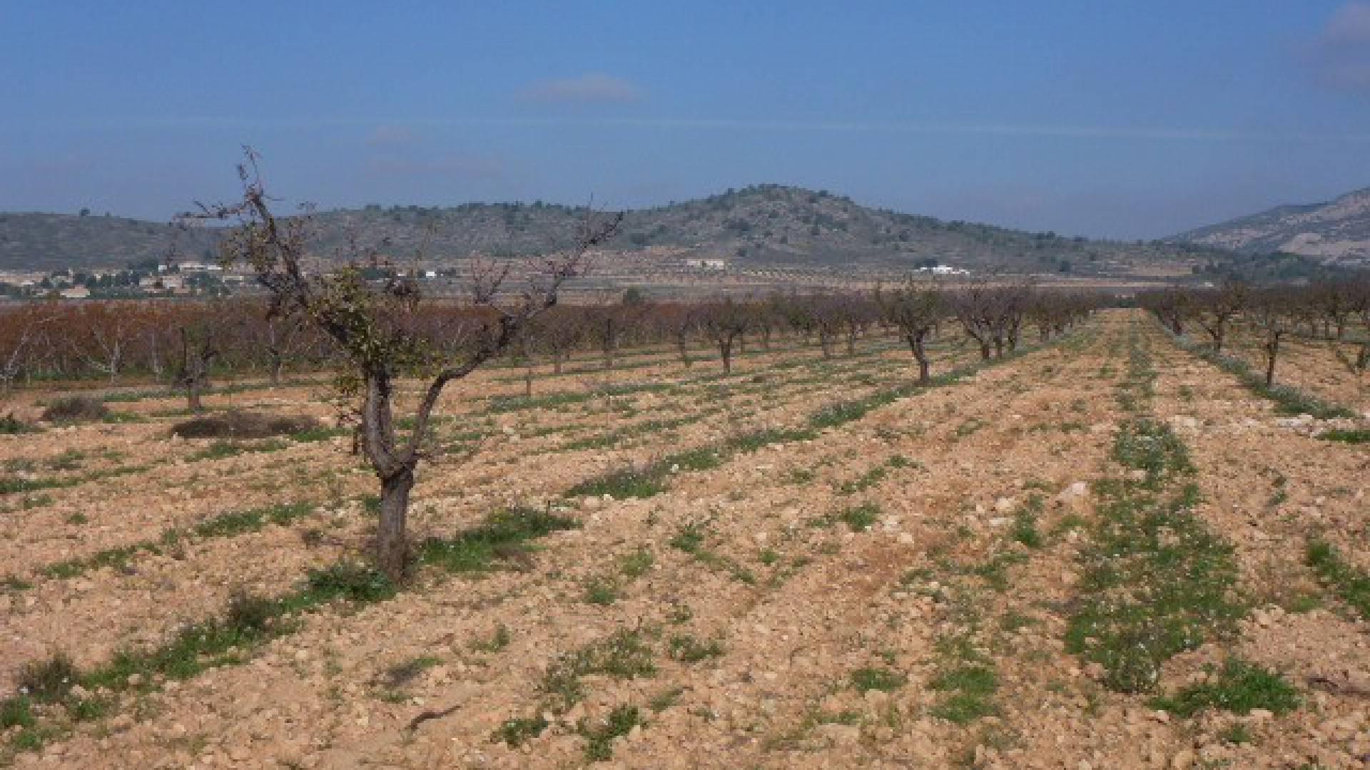 Terrains à bâtir à vendre à Cañada de la Leña, Murcie in Medvilla Spanje