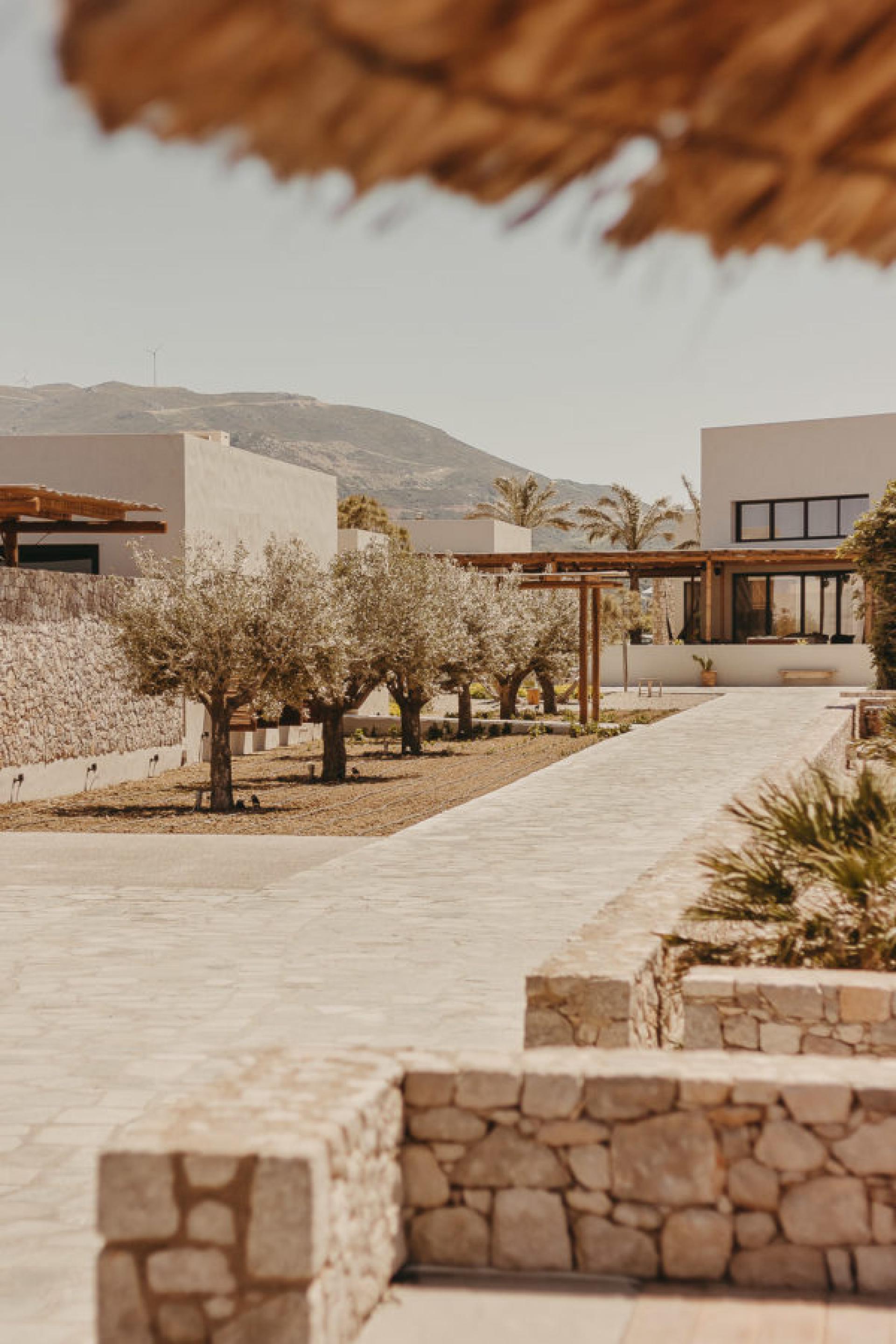 Votre propre villa au milieu d'un vignoble près de Yecla in Medvilla Spanje